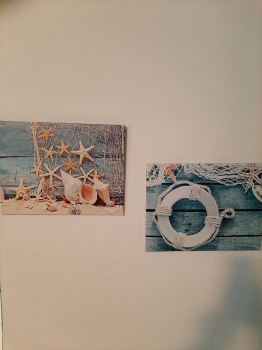 Apartment Seashells *